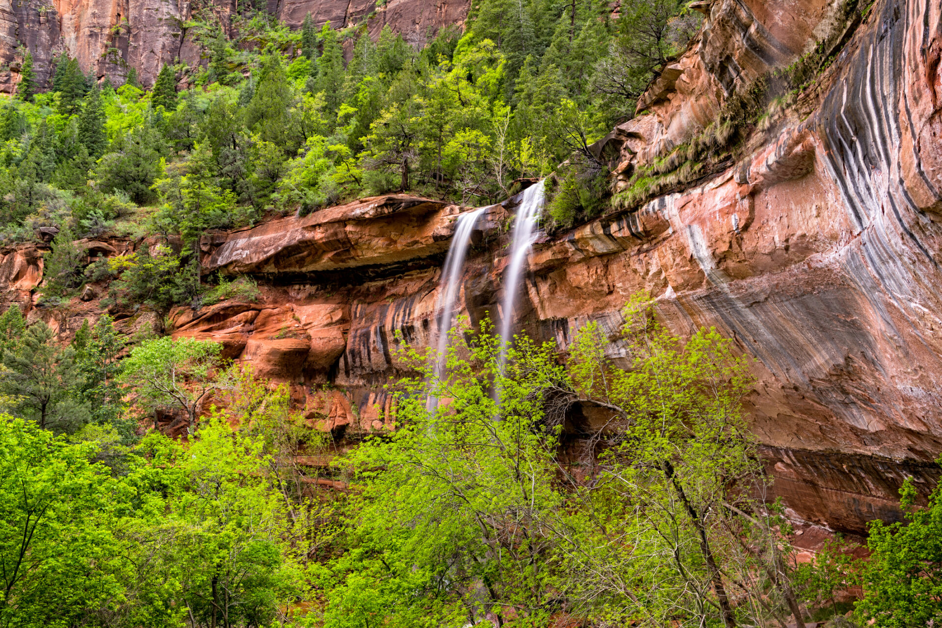 Unveiling the Enchanting Majesty: Exploring the Wonders of Zion National Park