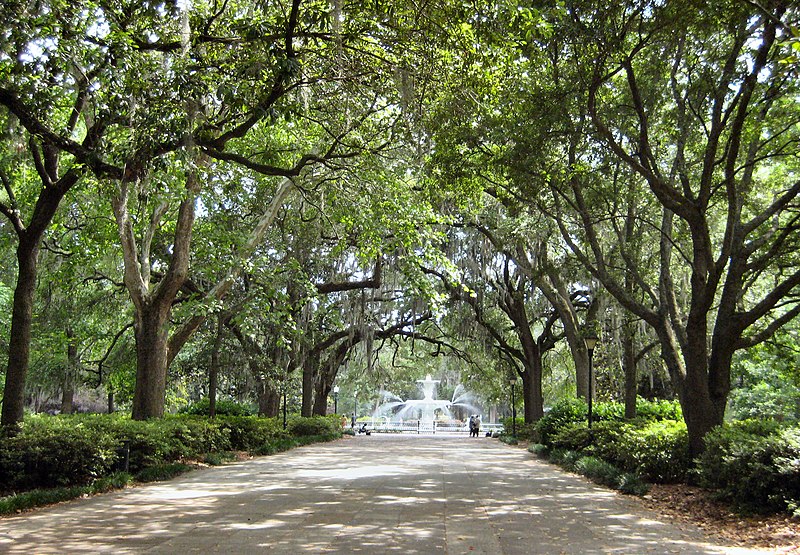 Savannah: Where Coastal Beauty Meets Southern Charm